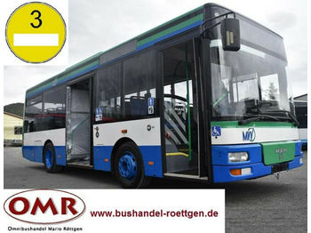 City bus MAN A 76 / A 47 / A 66 / O 530 / Midi: picture 1