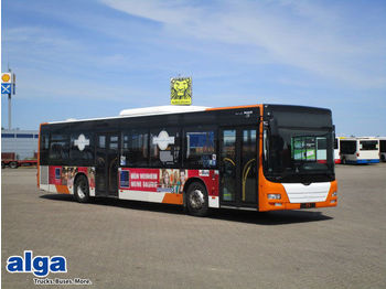 City bus MAN Lions City, A 21, Euro 4, Klima, Rampe: picture 1