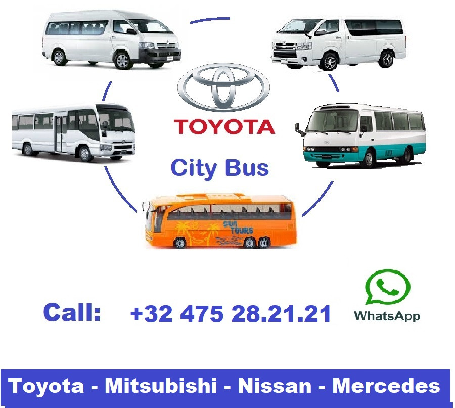 Minibus, Passenger van Toyota Coaster .... 30 places: picture 6
