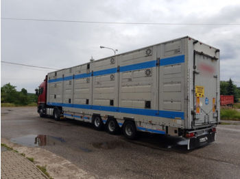 PEZZAIOLI  - Livestock semi-trailer
