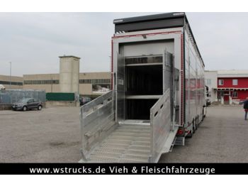 Pezzaioli 2 x SBA31-SR  3 Stock "Neu" Sofort  - Livestock semi-trailer