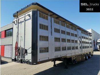 Pezzaioli Menke-Janzen / 4 Stock / Hudbach / Lenkachse  - Livestock semi-trailer