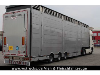 Pezzaioli SBA31-SR  3 Stock "Neu" Vermietung  - Livestock semi-trailer