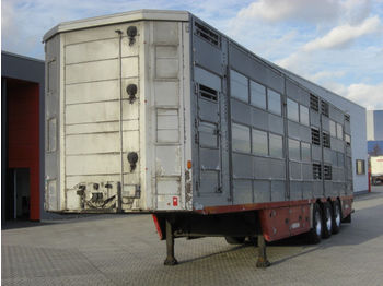 Pezzaioli SBA63U / 3 Achsen / BPW-Achsen / 3 Stock  - Livestock semi-trailer