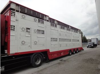 Pezzaioli SBA 31 3Stock  Vollausstattung GPS Top Zustand  - Livestock semi-trailer
