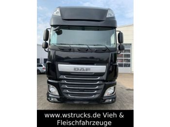 Tractor unit DAF XF 440 FT SSC Alcoa Leder Voll: picture 1