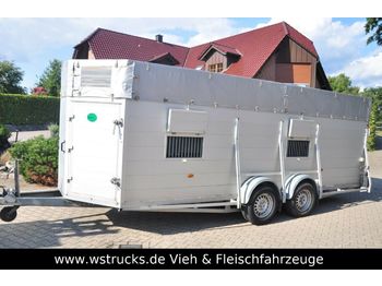 Blomert Einstock Vollalu 5,70 m  - Livestock trailer