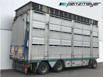  Pezzaioli Viehanhänger 3 Stock 3 Achs, Hubdach, LIA - Livestock trailer