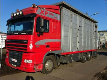 Livestock truck DAF XF105/460 Spacecup Menke 4 Stock: picture 1