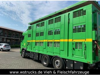Livestock truck DAF XF 105/460 SC Menke 3 Stock Hubdach: picture 1