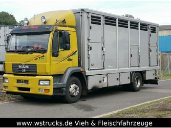 Livestock truck MAN 15.220 Menke Einstock: picture 1