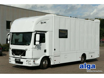 Livestock truck MAN 7.150 BL TGL, Pferdetransporter,Verkaufsfahrzeug: picture 1