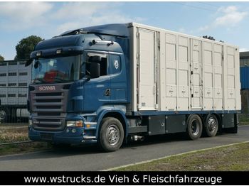 Livestock truck Scania  R 560 V8 Highline Menke 3 Stock Vollalu: picture 1